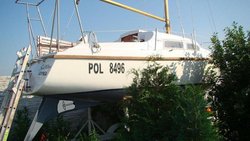 DSC01719.jpg