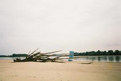 wisła049.jpg