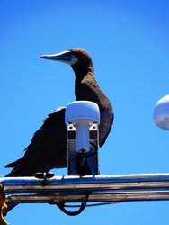 DSC06992.JPG