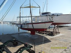 SDC12346.JPG