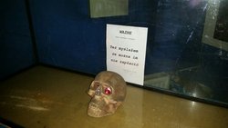 20141203_140309.jpg