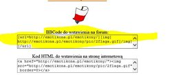 code.JPG