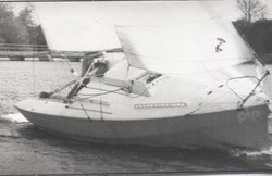 PIP-1b.jpg