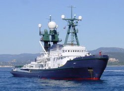 Arrctic P.jpg