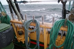 DSC02510.JPG
