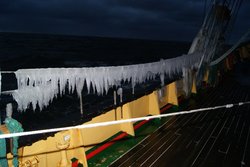 DSC02512.JPG