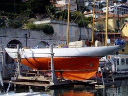 orange-yard.jpg