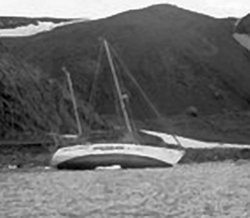 Polonus 29 grudnia2014.jpg