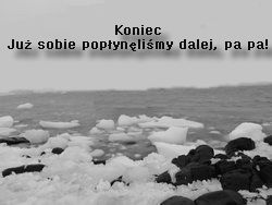 Polonus.jpg