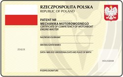 Wz_patent_mm_2013_a.jpg