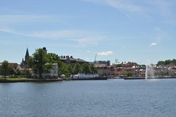 IMG769784.jpg