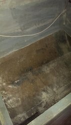 IMAG1333.jpg
