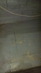 IMAG1330.jpg