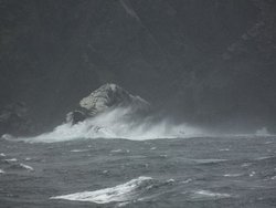 DSCF6303.jpg