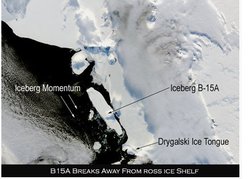 B15.jpg