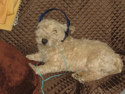 IMG_4468A.jpg