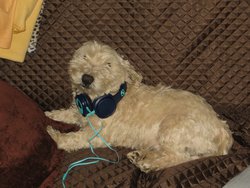 IMG_4467A.jpg