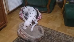 DSC_0141a.jpg