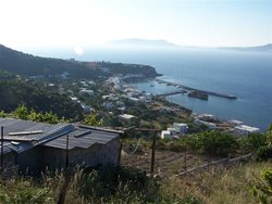 100_9544.JPG