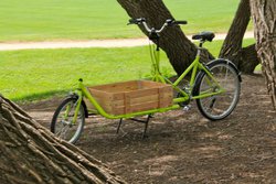 cbike2.jpg