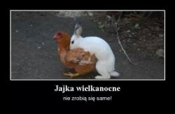 IMG_50135310988413.jpeg