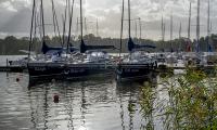 DSC_0254.JPG