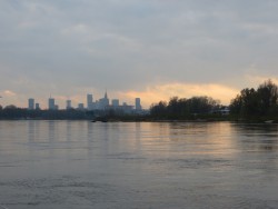 IMG_4603a.jpg