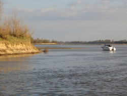 IMG_4686a.jpg