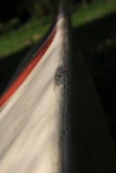 IMG_2058.jpg