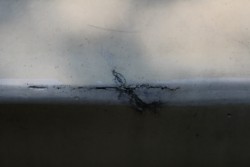 IMG_2055.jpg