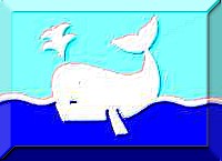 whale7.jpg