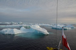 DSC_3162.jpg