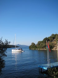 IMG_2318.JPG