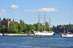 DSC_3125.jpg