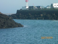 cherbourg7.jpg