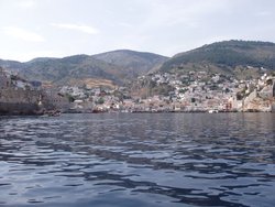 P1010077.jpg