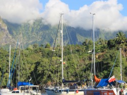 IMG_6623.jpg