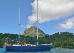 Czarny na Bora-Bora.JPG
