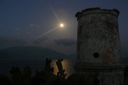 00504.JPG