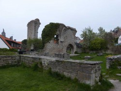 P1030252.JPG