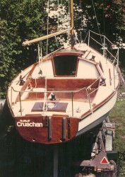 07.jpg