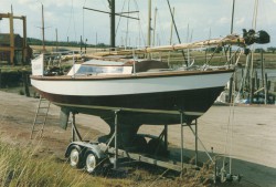 08.jpg
