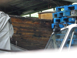 rekin_lipiec2005.jpg