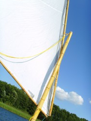 SSL20045.JPG