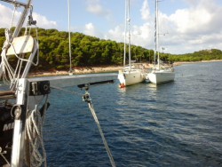 20150906_090348.jpg