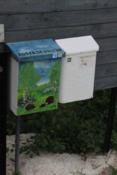 IMG_3767.JPG
