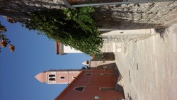 20150910_115950.jpg