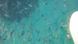 20150911_094555.jpg