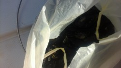 20150913_101942.jpg