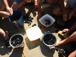 20150923_104801.jpg